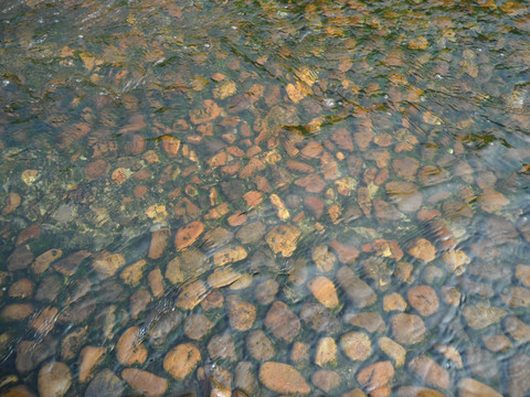 河水 河流