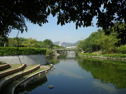 河畔 河边风景