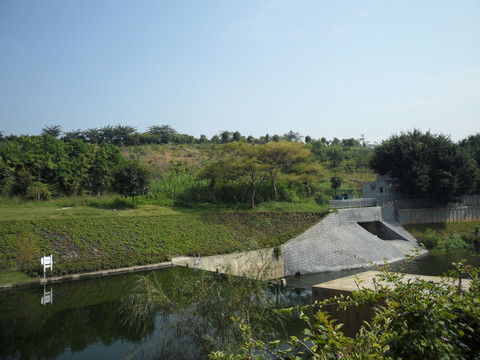 河畔 河边风景