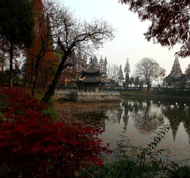 习家池秋色