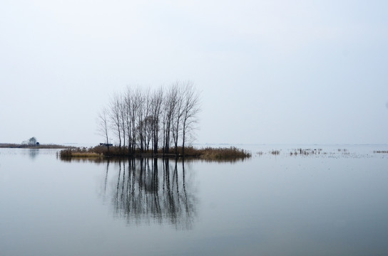 微山湖红荷湿地风光