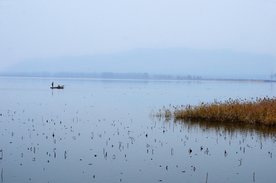 微山湖红荷湿地风光