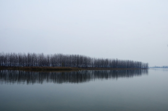 微山湖红荷湿地风光