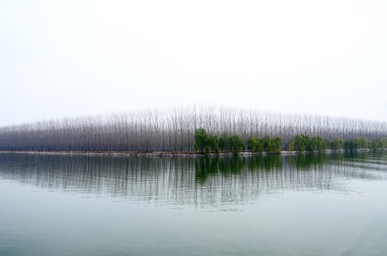 微山湖红荷湿地风光