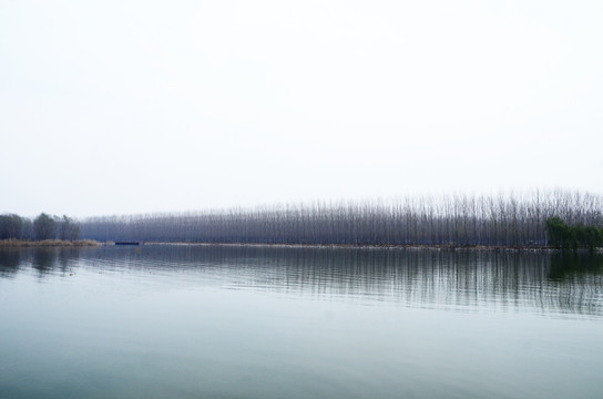 微山湖红荷湿地风光