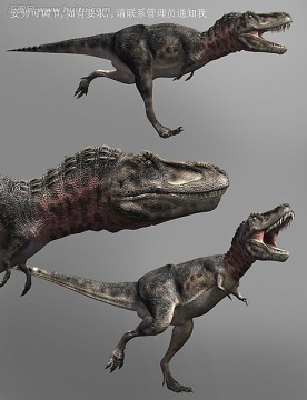 3dmax動物模型 塔博龍