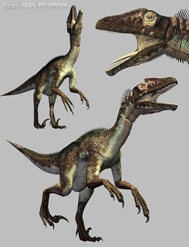 3dmax動(dòng)物模型 猶他盜龍