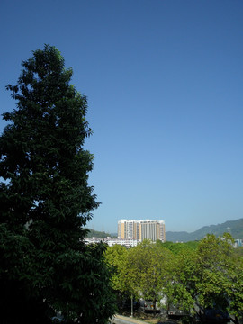 树木风景 蓝天 建筑