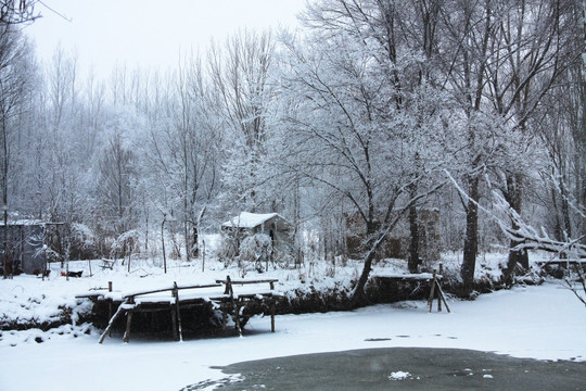 大雪