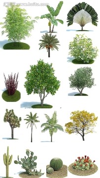 3dmax植物模型 树木花草