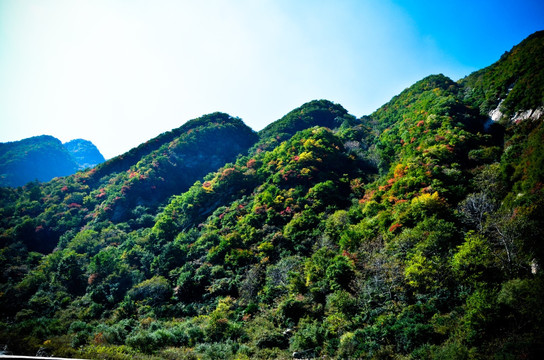 秦岭风光 秋天