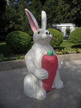 石兔