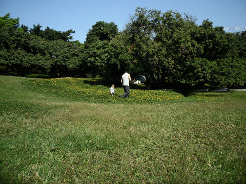 草地 树林 游客