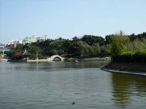 深圳中山公园 湖畔 湖边风光 拱桥