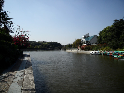 深圳中山公园 湖畔 湖边风景 游船