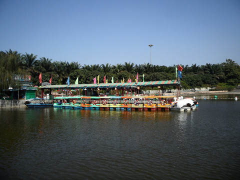 深圳中山公园 湖畔 湖边风景 游船 廊坊