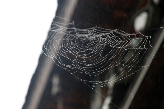 房檐下的蜘蛛网