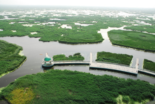 大庆湿地风光