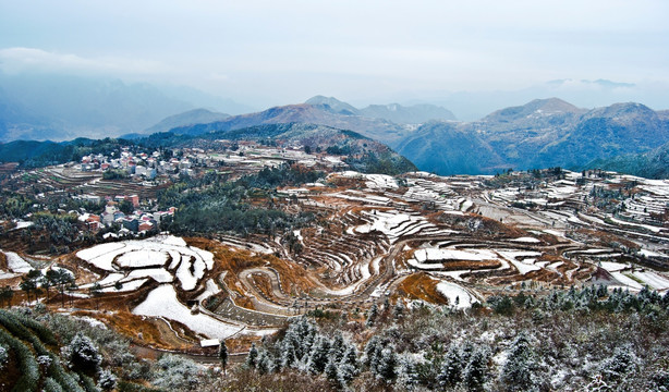 茗岙 雪景