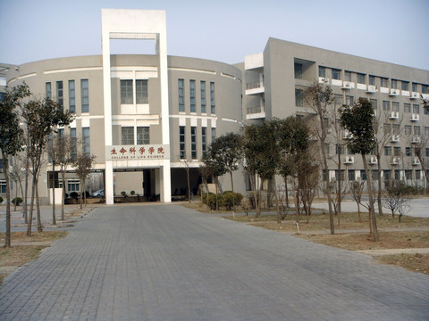 生命科学学院