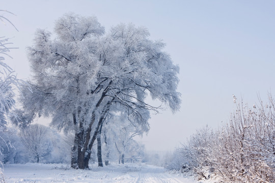 冰雪世界