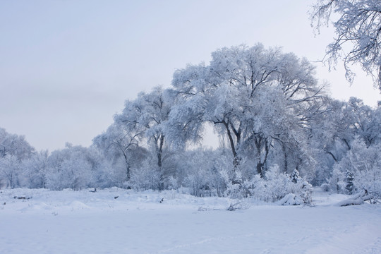 冰雪世界