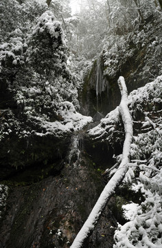 小瀑雪景大画幅