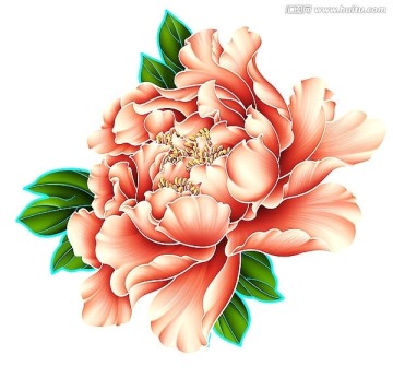 手繪花