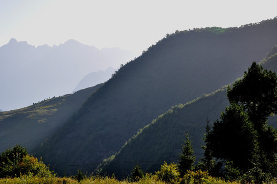 拉尕山风光