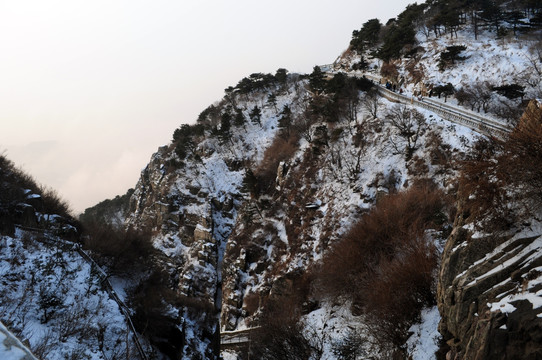 雪后泰山