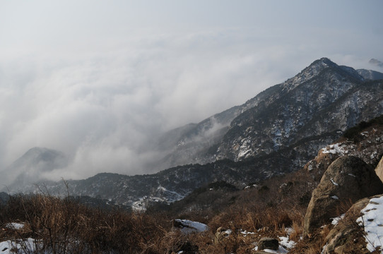 泰山云雾