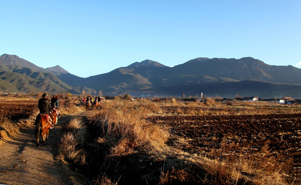 茶马古道