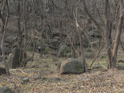 大横山乱石坡