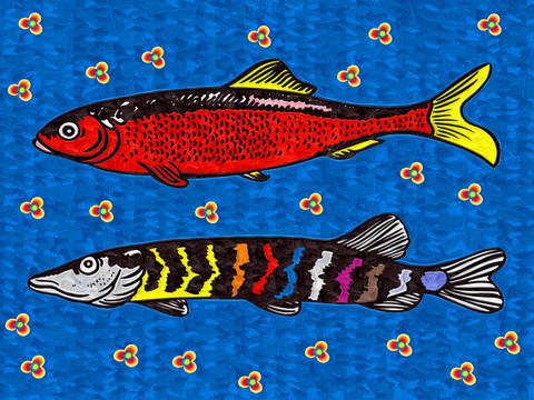 油畫 魚