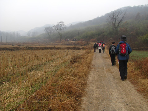 行进在田野