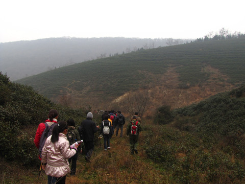 山坳里 茶场 户外行走队伍