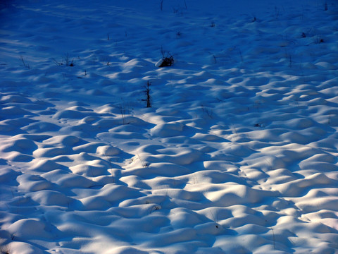 大兴安岭湿地雪包