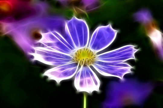花兒