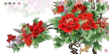 洛陽紅