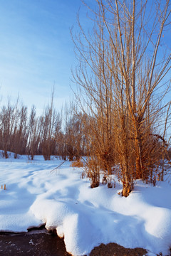 冬雪