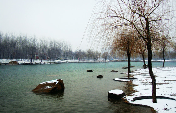 春風(fēng)瑞雪兆豐年