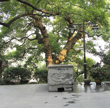 杭州西湖畔龙雕塑