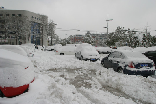 被大雪覆盖的汽车