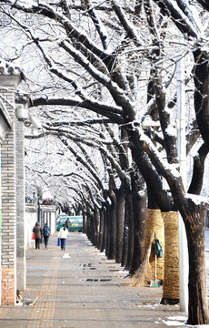 雪景