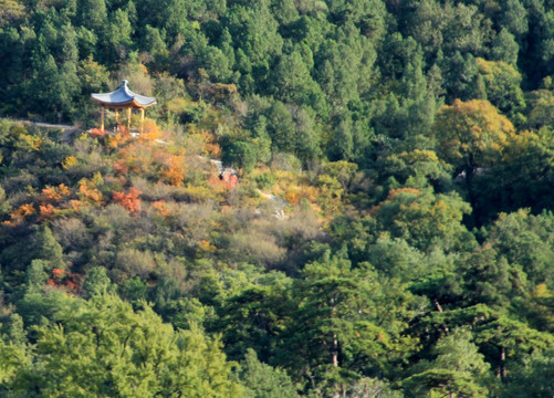 香山秋景