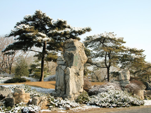 雪景松石