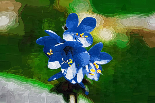 風(fēng)中的小花