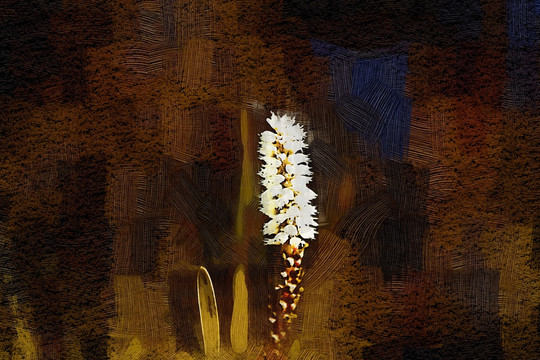 小花