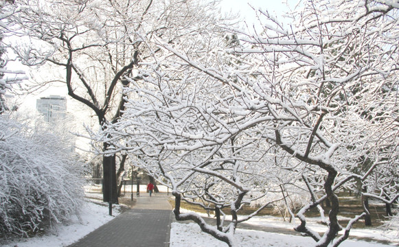 雪景