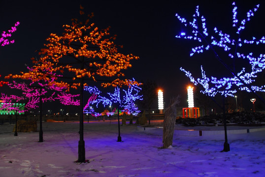 霓虹灯 夜景 彩灯树